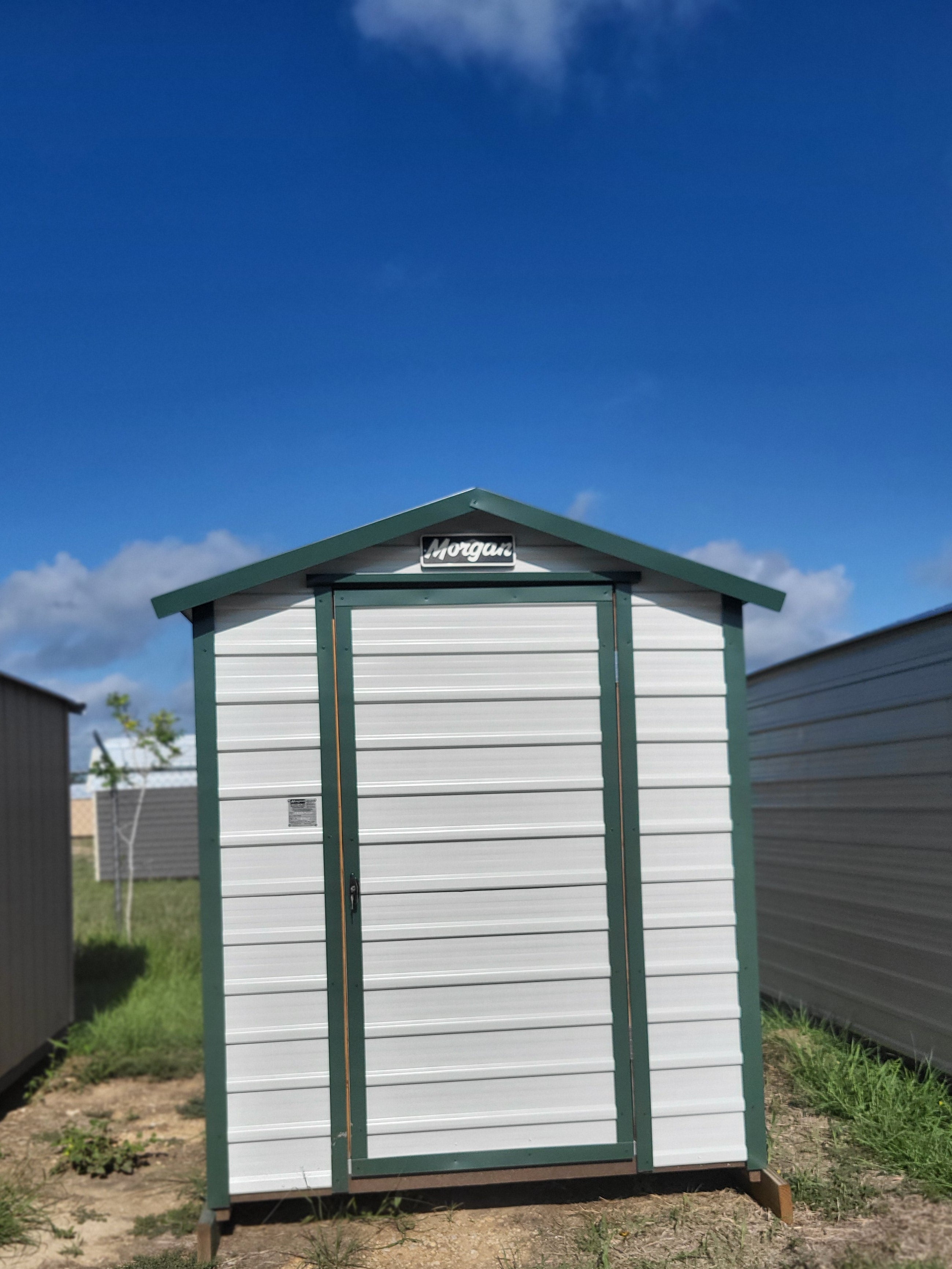 06 x 08 Steel Storage Shed in White Siding and Green Trim - H205118